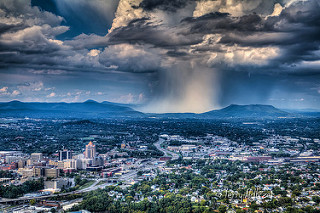 Summer Shower Swan Song By Terry Aldhizer